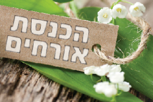 אילוסטרציה הכנסת אורחים