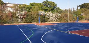 תמונה מגרש משולב