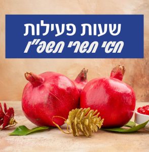 שעות פעילות בחגי תשרי - 2025