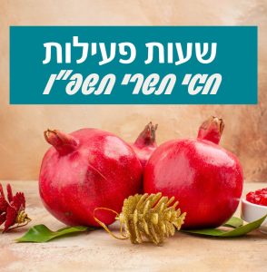 שעות פעילות בחגי תשרי 2025